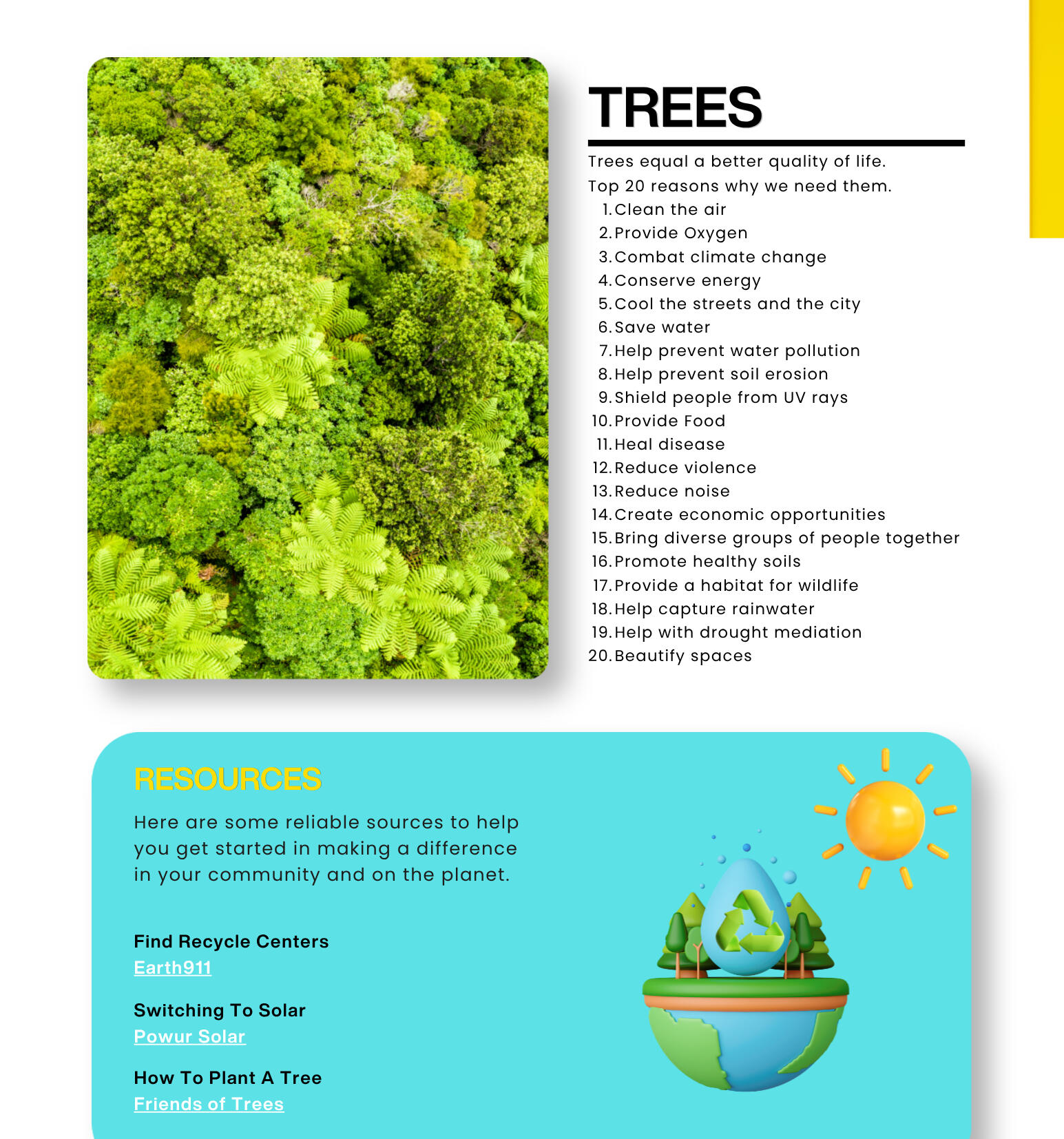Top 20 benefits of trees